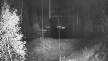 Snímek    29.10.2025 v 04:30