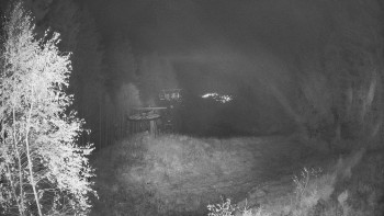 Snímek    29.10.2025 v 04:45