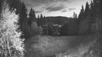 Snímek    29.10.2025 v 05:45