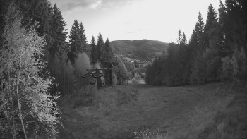 Snímek    29.10.2025 v 06:00