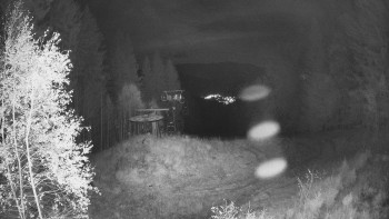 Snímek    30.10.2025 v 05:00