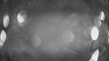 Snímek    2.11.2025 v 22:30