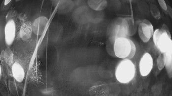 Snímek    2.11.2025 v 23:30