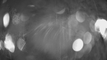 Snímek    2.11.2025 v 23:45