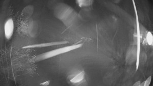 SKICENTRUM Miroslav Lipová Lázně - Výstupní stanice lanové dráhy - 3.11.2025 v 00:00 SKICENTRUM Miroslav Lipová Lázně - Výstupní stanice lanové dráhy - 3.11.2025 v 00:00