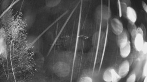 SKICENTRUM Miroslav Lipová Lázně - Výstupní stanice lanové dráhy - 3.11.2025 v 00:45 SKICENTRUM Miroslav Lipová Lázně - Výstupní stanice lanové dráhy - 3.11.2025 v 00:45