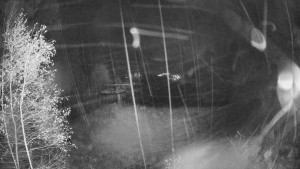 SKICENTRUM Miroslav Lipová Lázně - Výstupní stanice lanové dráhy - 3.11.2025 v 02:15 SKICENTRUM Miroslav Lipová Lázně - Výstupní stanice lanové dráhy - 3.11.2025 v 02:15