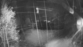 Snímek    3.11.2025 v 02:15