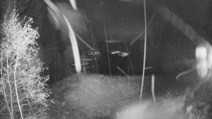 SKICENTRUM Miroslav Lipová Lázně - Výstupní stanice lanové dráhy - 3.11.2025 v 02:30 SKICENTRUM Miroslav Lipová Lázně - Výstupní stanice lanové dráhy - 3.11.2025 v 02:30