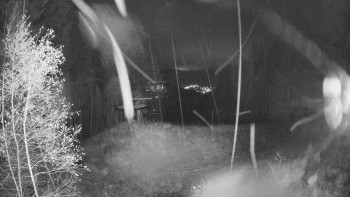 Snímek    3.11.2025 v 02:30