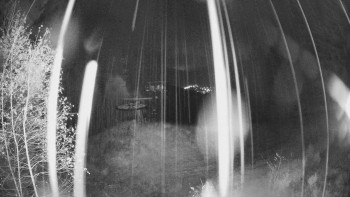 Snímek    3.11.2025 v 03:00