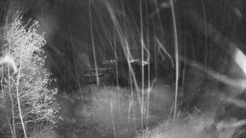 Snímek    3.11.2025 v 03:15