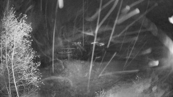 Snímek    3.11.2025 v 03:45