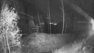 SKICENTRUM Miroslav Lipová Lázně - Výstupní stanice lanové dráhy - 3.11.2025 v 04:15 SKICENTRUM Miroslav Lipová Lázně - Výstupní stanice lanové dráhy - 3.11.2025 v 04:15