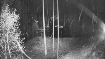 Snímek    3.11.2025 v 05:00