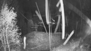 Snímek    3.11.2025 v 05:30