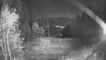 Snímek 4.11.2025 v 20:30