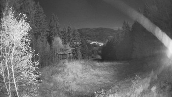 Snímek 4.11.2025 v 20:45