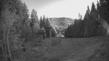 Snímek 6.11.2025 v 06:15