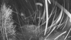 Výstupní stanice lanové dráhy