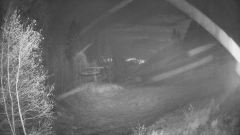 Snímek 9.11.2025 v 00:00