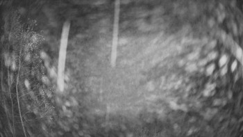 Snímek 9.11.2025 v 18:45