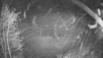 Snímek 9.11.2025 v 19:00