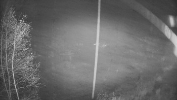 Snímek 9.11.2025 v 23:15