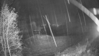 Snímek 10.11.2025 v 01:00