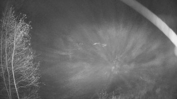 Snímek 10.11.2025 v 02:15