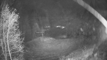 Snímek 10.11.2025 v 05:00