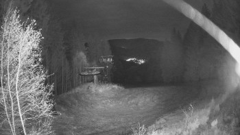 Snímek 11.11.2025 v 03:30