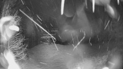 Výstupní stanice lanové dráhy