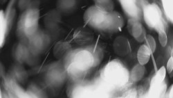 Výstupní stanice lanové dráhy