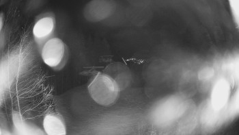 Snímek 17.11.2025 v 22:45