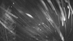 Výstupní stanice lanové dráhy