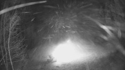 Výstupní stanice lanové dráhy