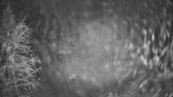 Výstupní stanice lanové dráhy