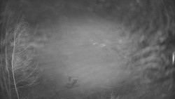 Výstupní stanice lanové dráhy