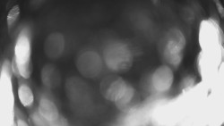 Výstupní stanice lanové dráhy