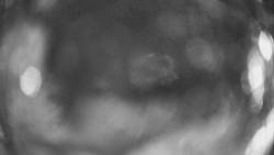 Výstupní stanice lanové dráhy