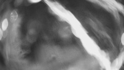 Výstupní stanice lanové dráhy