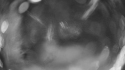 Výstupní stanice lanové dráhy