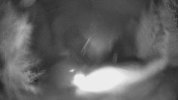 Výstupní stanice lanové dráhy