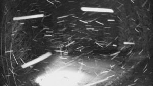 SKICENTRUM Miroslav Lipová Lázně - Výstupní stanice lanové dráhy - 2.1.2026 v 02:00 SKICENTRUM Miroslav Lipová Lázně - Výstupní stanice lanové dráhy - 2.1.2026 v 02:00