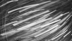 Výstupní stanice lanové dráhy