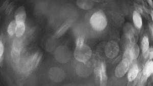 SKICENTRUM Miroslav Lipová Lázně - Výstupní stanice lanové dráhy - 29.1.2026 v 17:30 SKICENTRUM Miroslav Lipová Lázně - Výstupní stanice lanové dráhy - 29.1.2026 v 17:30