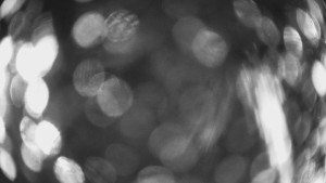 SKICENTRUM Miroslav Lipová Lázně - Výstupní stanice lanové dráhy - 29.1.2026 v 18:15 SKICENTRUM Miroslav Lipová Lázně - Výstupní stanice lanové dráhy - 29.1.2026 v 18:15