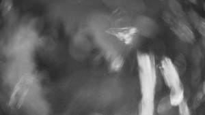 SKICENTRUM Miroslav Lipová Lázně - Výstupní stanice lanové dráhy - 29.1.2026 v 19:30 SKICENTRUM Miroslav Lipová Lázně - Výstupní stanice lanové dráhy - 29.1.2026 v 19:30