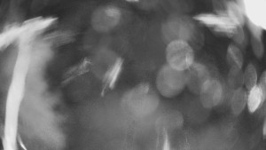 SKICENTRUM Miroslav Lipová Lázně - Výstupní stanice lanové dráhy - 29.1.2026 v 20:30 SKICENTRUM Miroslav Lipová Lázně - Výstupní stanice lanové dráhy - 29.1.2026 v 20:30